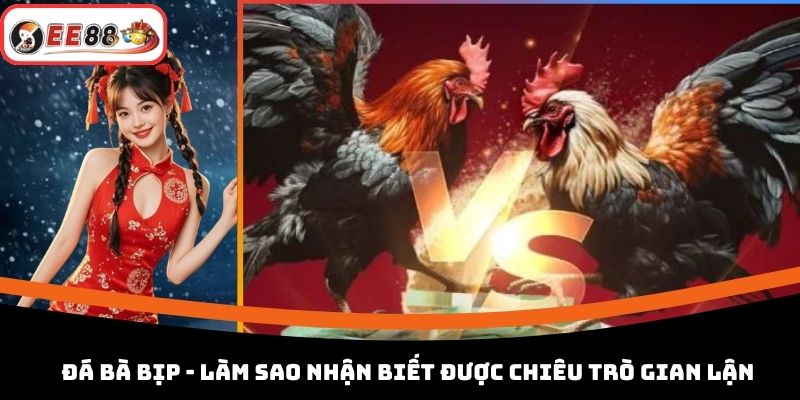 Đá gà Bịp - Làm Sao Nhận Biết Được Chiêu Trò Gian Lận