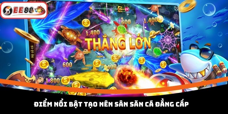 Điểm nổi bật tạo nên sân săn cá đẳng cấp