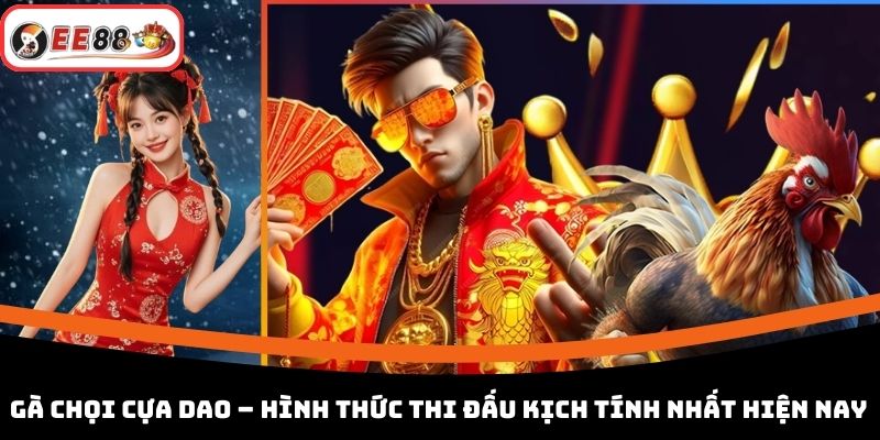 Gà Chọi Cựa Dao – Hình Thức Thi Đấu Kịch Tính Nhất Hiện Nay