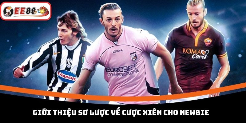 Giới thiệu sơ lược về cược xiên cho newbie