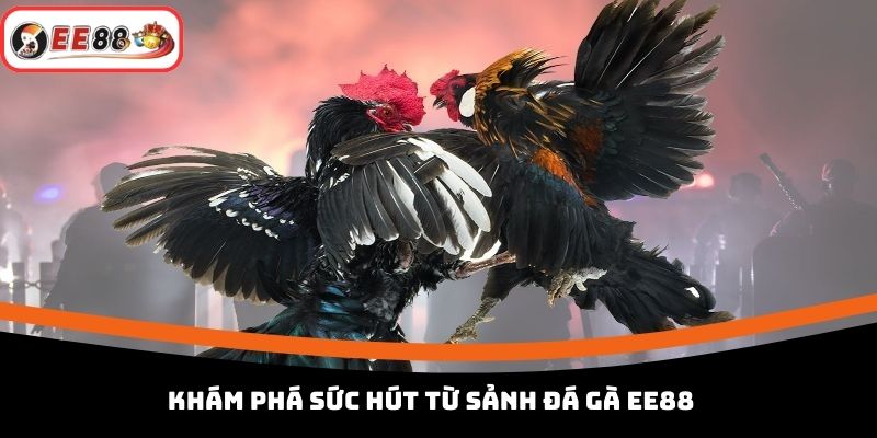 Khám phá sức hút từ sảnh đá gà EE88