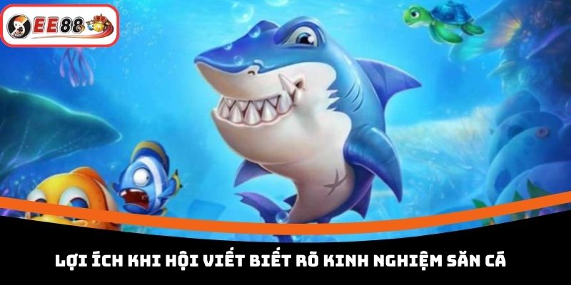 Lợi ích khi hội viết biết rõ kinh nghiệm săn cá